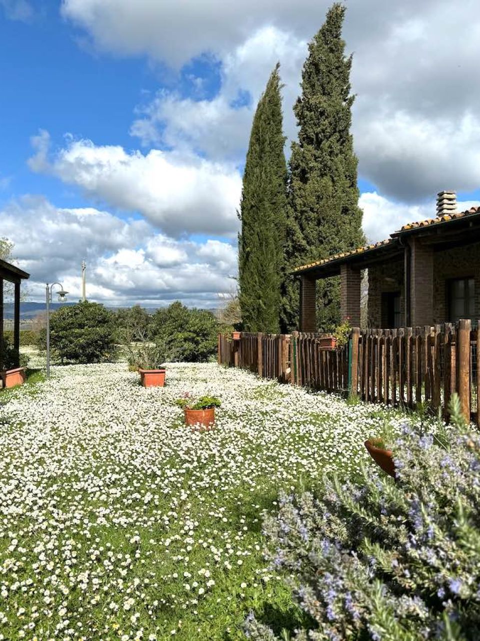 Appartamenti con recinto per cani