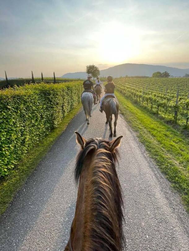Agriturismo con cavalli in toscana